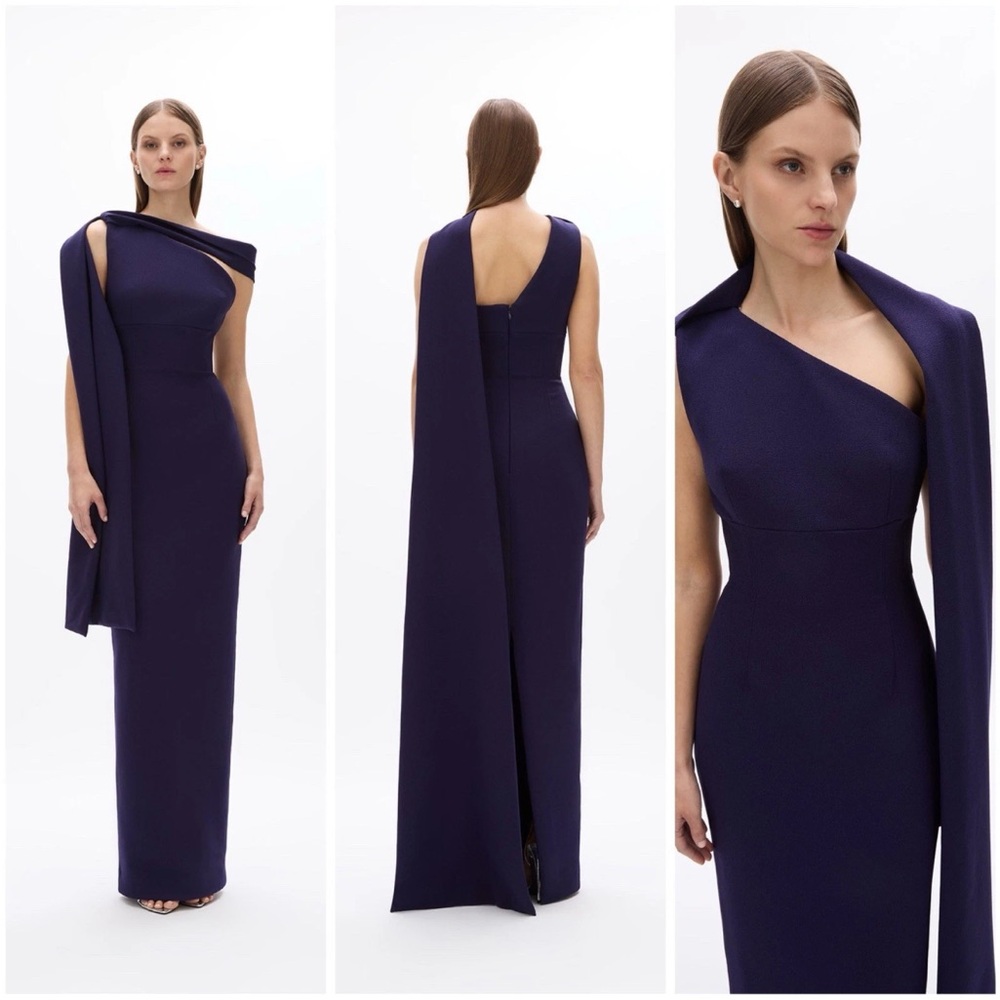 NWOT $1200 MRPs Rachel Gilbert Clara dress in dark indigo size 8 - Picture 1 of 17
